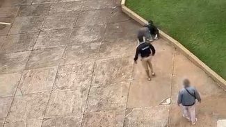 Vídeo mostra homem sendo agredido após supostamente urinar em muro de condomínio em Cascavel Vídeo mostra homem sendo agredido após supostamente urinar em muro de condomínio em Cascavel