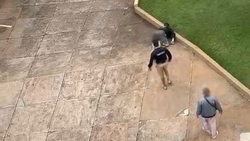 Vídeo mostra homem sendo agredido após supostamente urinar em muro de condomínio em Cascavel Imagem referente a Vídeo mostra homem sendo agredido após supostamente urinar em muro de condomínio em Cascavel