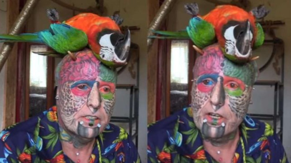 Homem arranca orelhas e faz 100 tatuagens para 'virar papagaio'