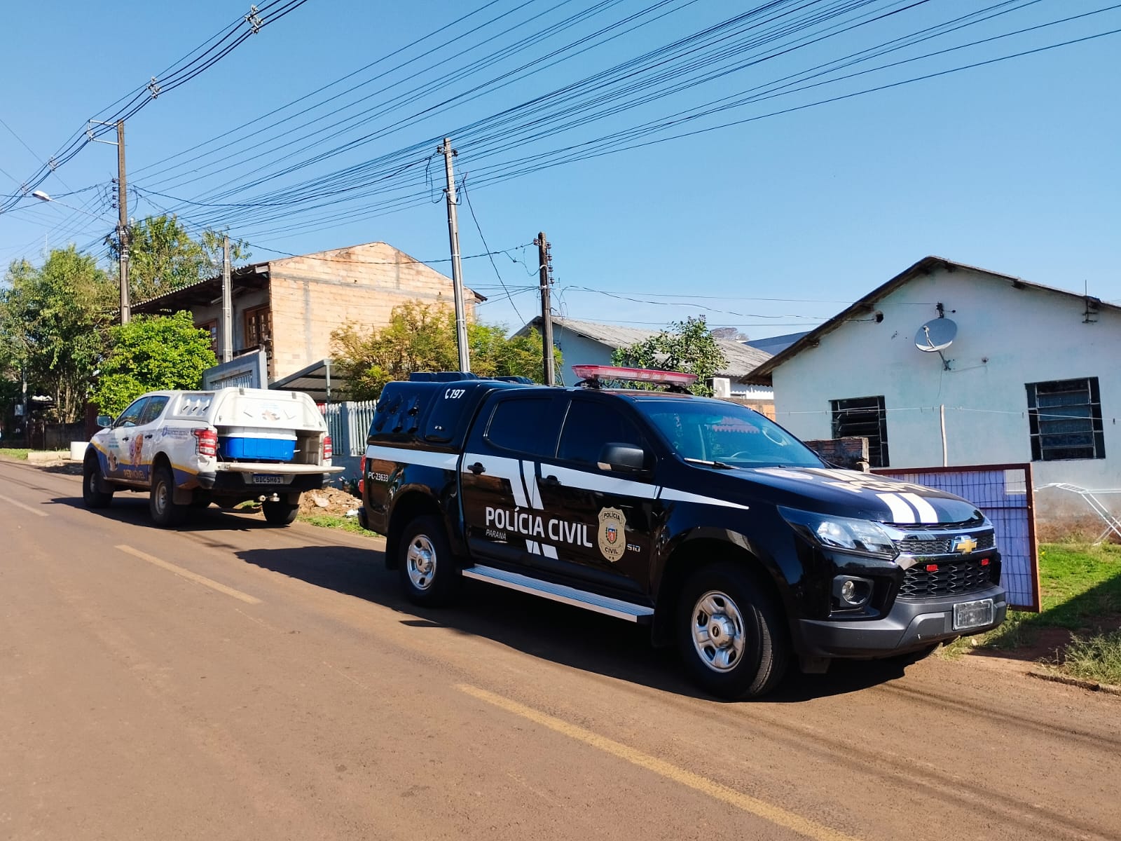 Cães amarrados e famintos: polícia corta correntes e resgata animais no Sudoeste