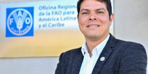 Combate à gripe aviária depende de articulação e abordagem integral Imagem referente a Combate à gripe aviária depende de articulação e abordagem integral