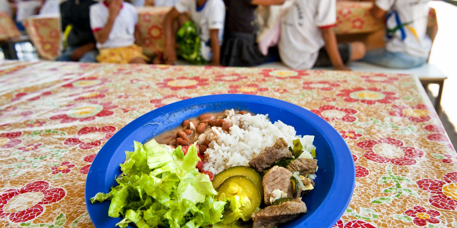 Câmara aprova projeto de compra de alimentos para merenda escolar