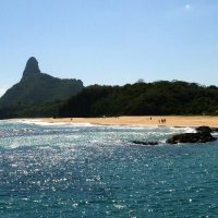 Imagem referente a Ilhas brasileiras: estudo revela presença de espécies exclusivas