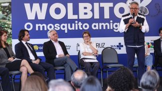 Brasília ganha biofábrica de mosquitos com tecnologia contra a dengue