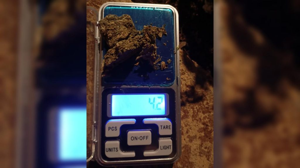 PM apreende maconha durante patrulhamento da Cavalaria na Avenida Brasil