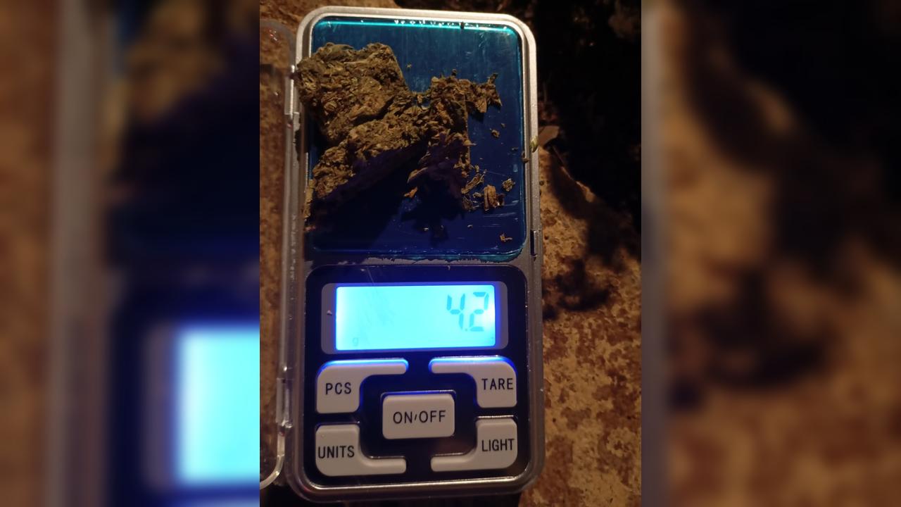 PM apreende maconha durante patrulhamento da Cavalaria na Avenida Brasil