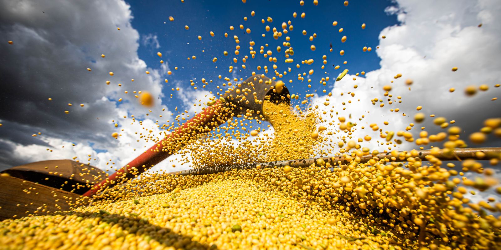 Valor da produção agrícola brasileira recua 3,9% em 2024, mostra IBGE Valor da produção agrícola brasileira recua 3,9% em 2024, mostra IBGE