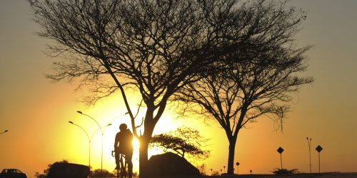 Imagem referente a Alerta vermelho: baixa umidade do ar atinge três estados e o DF