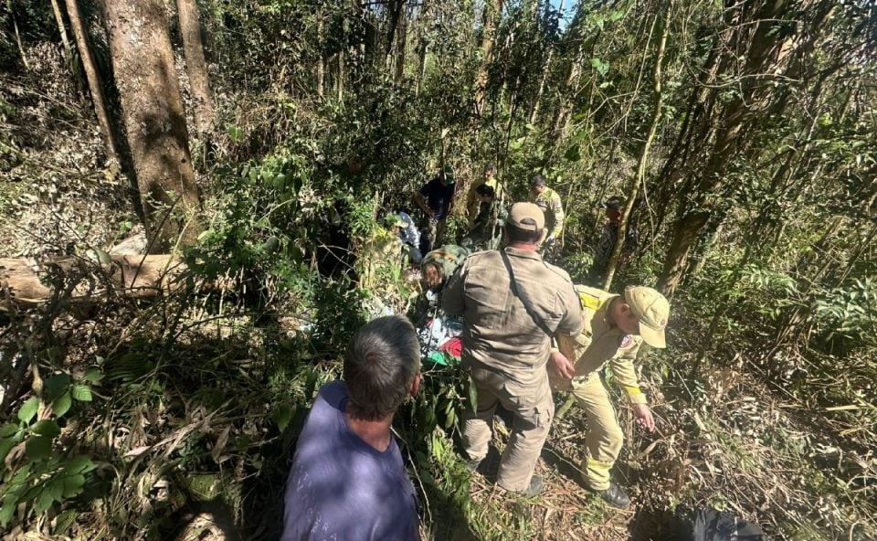 Árvore despenca e homem fica gravemente ferido na Estrada da Maçã