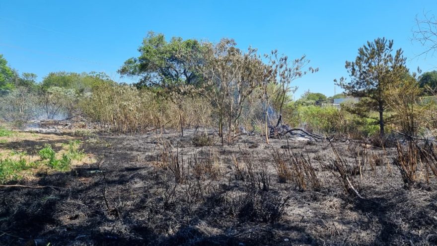 Incêndio devasta área de vegetação no Periolo