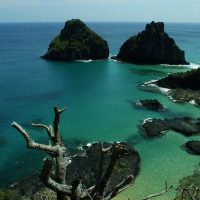 Quase 50% dos turistas usam redes como fonte de informação de viagem Imagem referente a Quase 50% dos turistas usam redes como fonte de informação de viagem