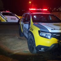 Imagem referente a Briga de vizinhos termina em soco e confusão após ataque de pit bull