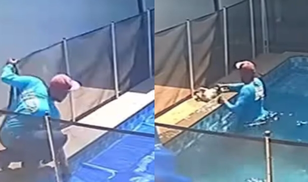 Homem salva cachorro cego prestes a morrer no fundo de piscina