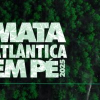 Operação Mata Atlântica em Pé tem início em 17 estados com ações de fiscalização e combate ao desmatamento ilegal Imagem referente a Operação Mata Atlântica em Pé tem início em 17 estados com ações de fiscalização e combate ao desmatamento ilegal