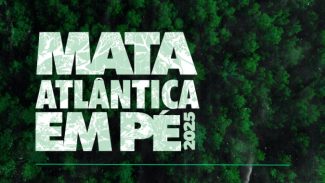 Operação Mata Atlântica em Pé tem início em 17 estados com ações de fiscalização e combate ao desmatamento ilegal Operação Mata Atlântica em Pé tem início em 17 estados com ações de fiscalização e combate ao desmatamento ilegal