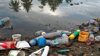 Fiocruz alerta para contaminação da Amazônia por plásticos