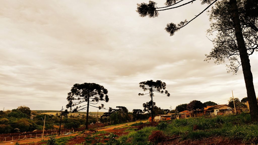 Quarta-feira nublada, com risco de chuva e vendaval em Cascavel Quarta-feira nublada, com risco de chuva e vendaval em Cascavel