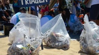 Mutirões marcam a passagem do Dia Mundial da Limpeza