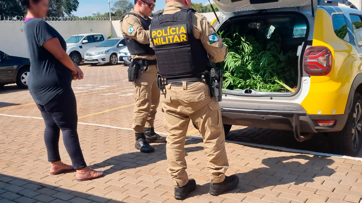 Mulher é encaminhada à Delegacia após apreensão de plantação de maconha em Cascavel