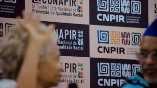 Conapir: governo e sociedade revisam políticas para igualdade racial Conapir: governo e sociedade revisam políticas para igualdade racial