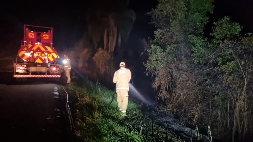 Incêndio mobiliza equipes do Corpo de Bombeiros até a BR-369, em Cascavel