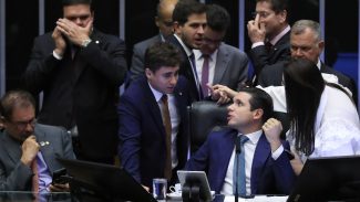 PEC da Blindagem se estenderá a deputados estaduais e distritais