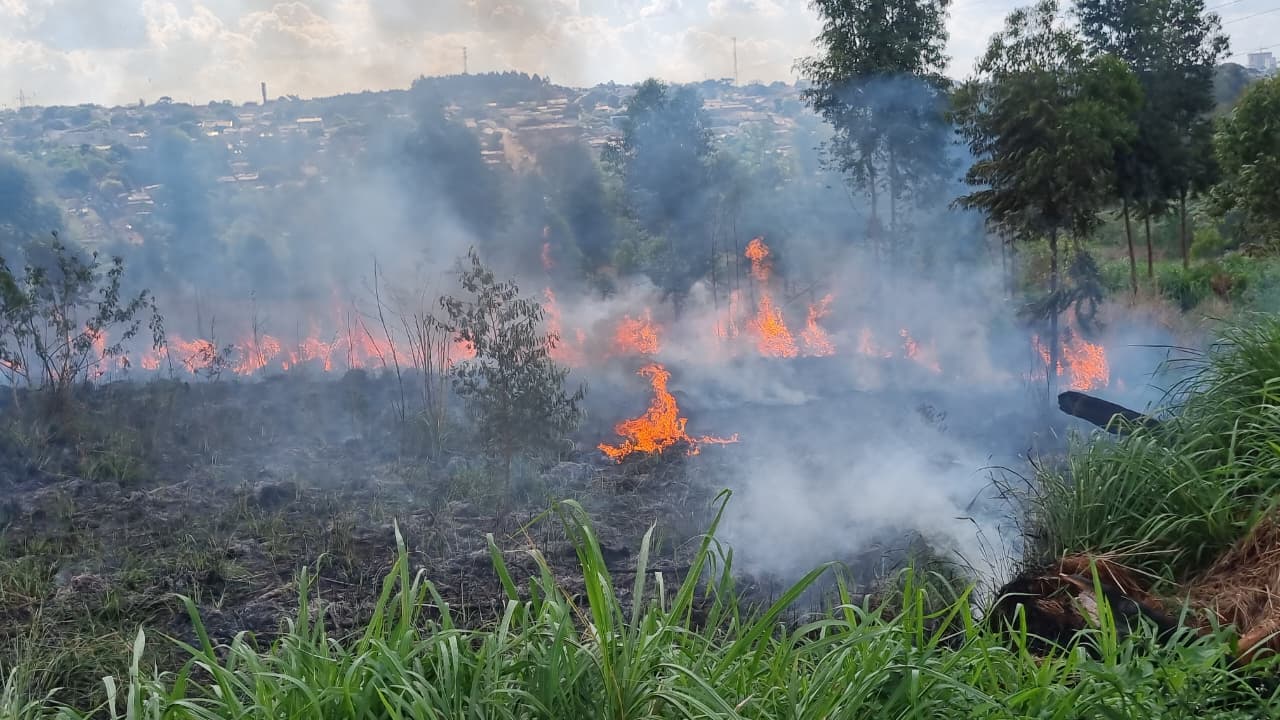 Atenção: Incêndio em grande área de vegetação no Santa Felicidade