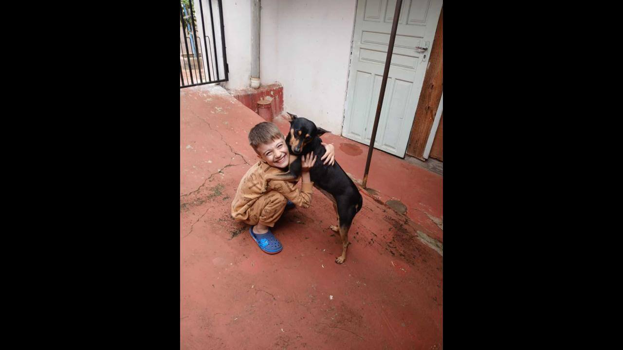 Cachorra Menina desapareceu no bairro Floresta