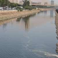 Imagem referente a Rio Tietê continua vulnerável apesar de redução da mancha de poluição