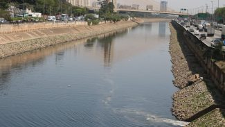 Rio Tietê continua vulnerável apesar de redução da mancha de poluição
