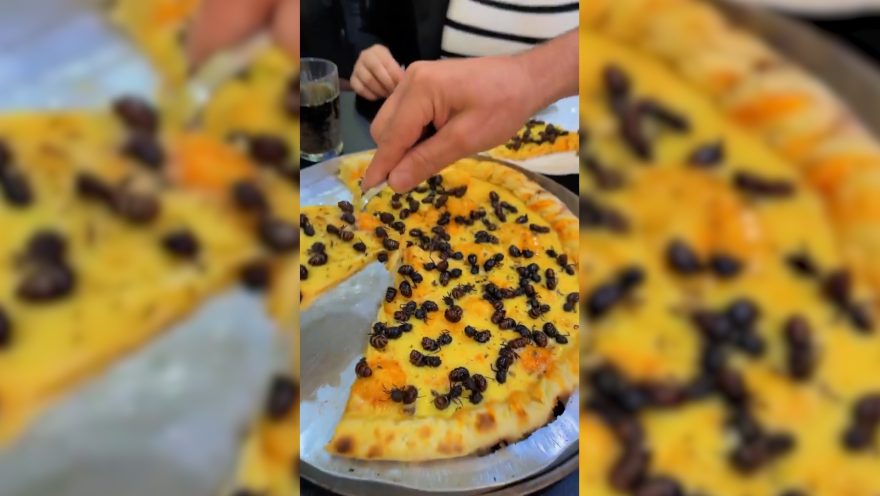 Sabor e crocância: Pizza de Tanajura viraliza nas redes sociais