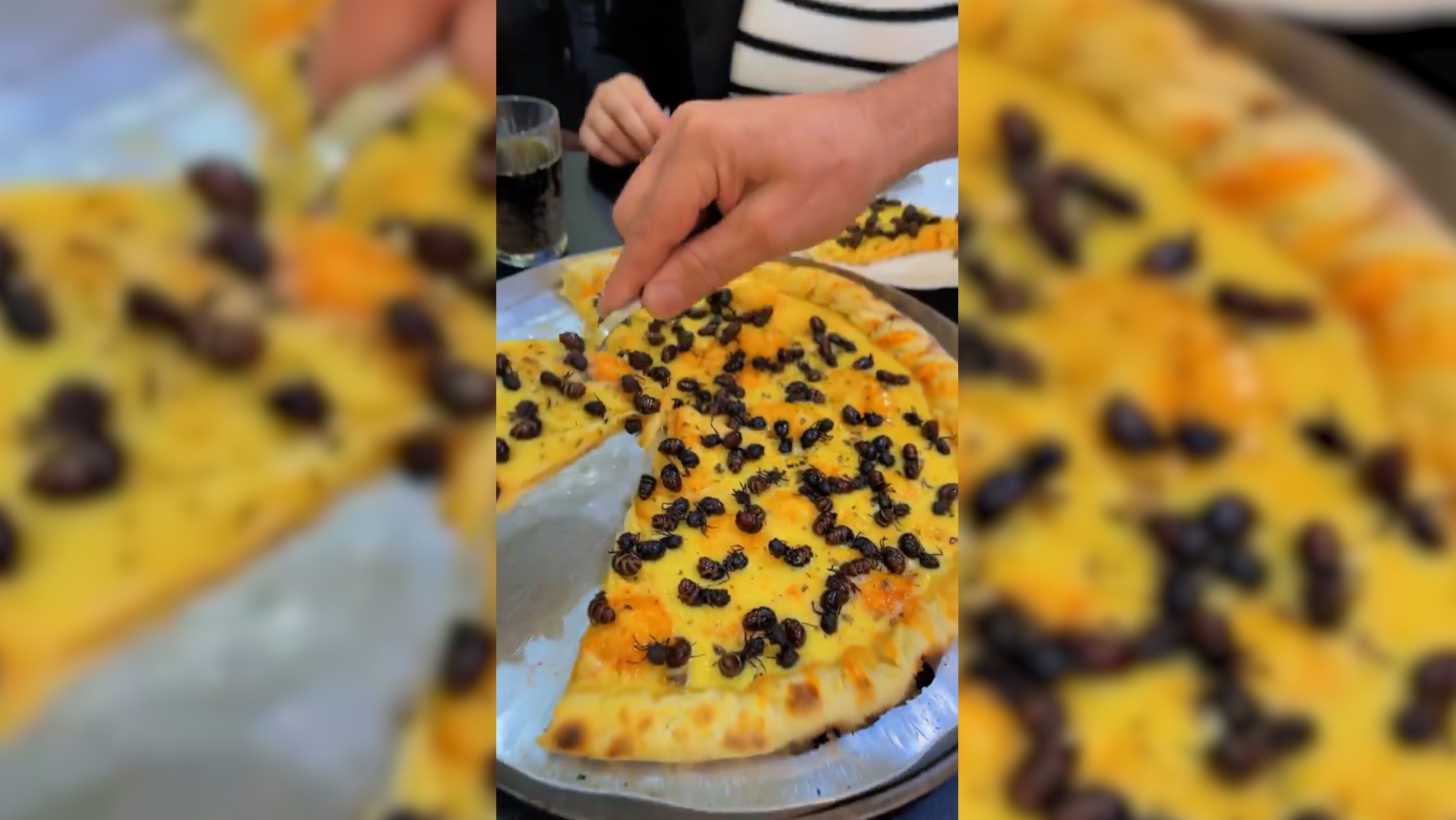 Sabor e crocância: Pizza de Tanajura viraliza nas redes sociais