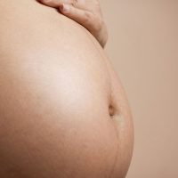 Estudo busca eliminar transmissão vertical de vírus que causa leucemia Imagem referente a Estudo busca eliminar transmissão vertical de vírus que causa leucemia