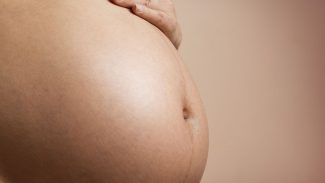 Estudo busca eliminar transmissão vertical de vírus que causa leucemia Estudo busca eliminar transmissão vertical de vírus que causa leucemia