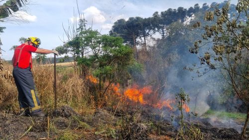 Bombeiros combatem incêndio em vegetação próximo a residências no Bairro Guarujá