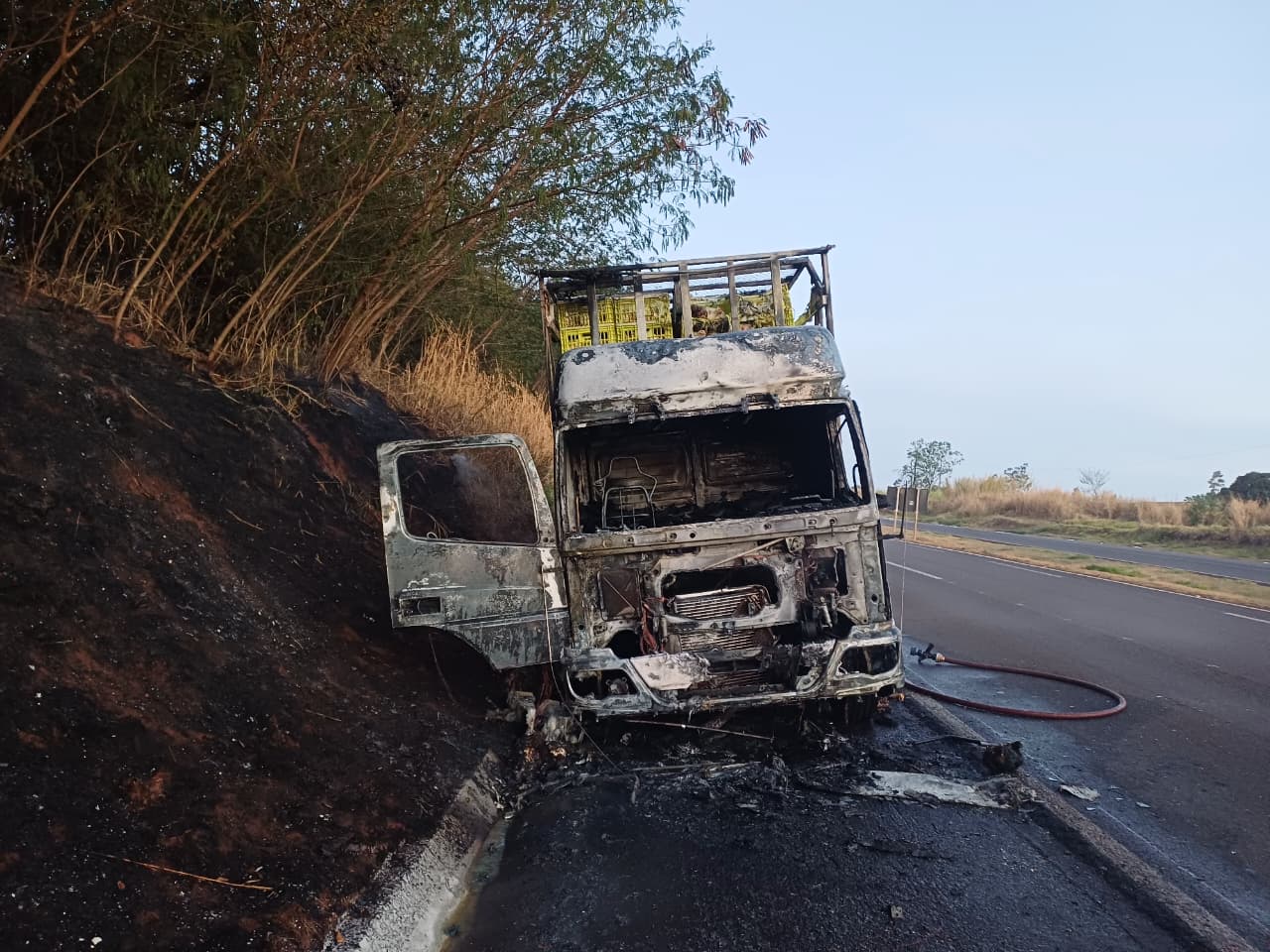 Incêndio consome caminhão de frangos em Alto Paraná