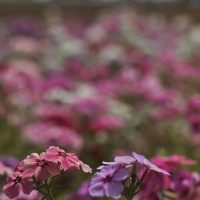 Primavera começa com chegada de frente fria, temporais e fortes ventos Imagem referente a Primavera começa com chegada de frente fria, temporais e fortes ventos