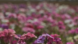 Primavera começa com chegada de frente fria, temporais e fortes ventos Primavera começa com chegada de frente fria, temporais e fortes ventos