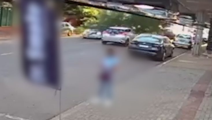 Câmera mostra momento em que árvore cai e atinge carro na Rua Manaus