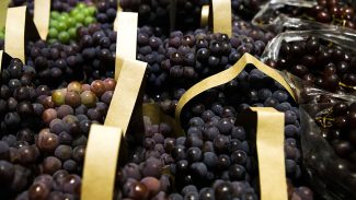 BNDES aprova R$ 1,2 bi para empresas afetadas pelo tarifaço BNDES aprova R$ 1,2 bi para empresas afetadas pelo tarifaço