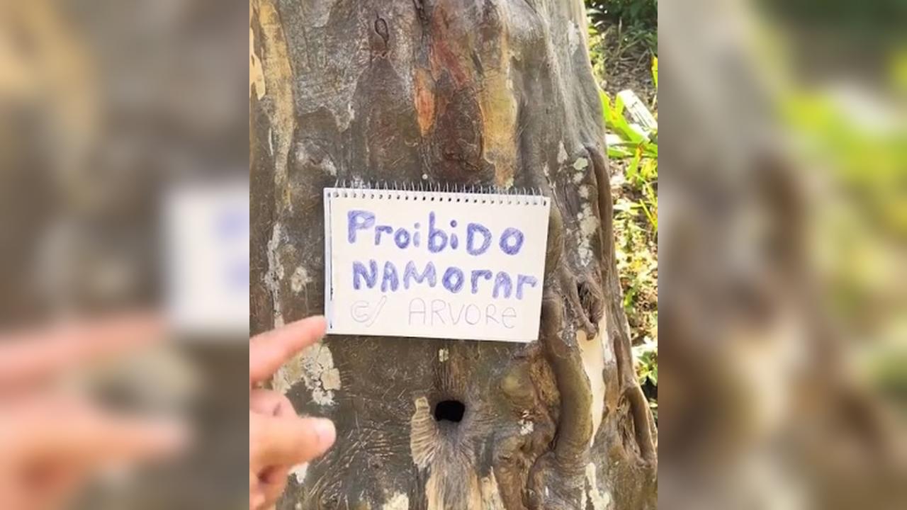 Morador usa pimenta para jovens não transarem com buraco de árvore