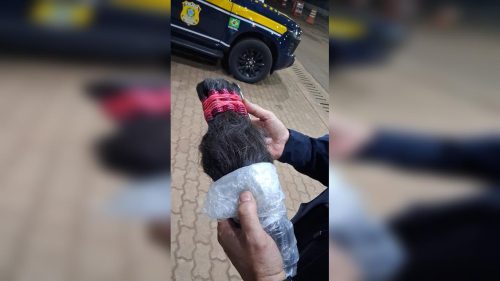 PRF apreende cerca de 50 kg de cabelos humanos em abordagem na BR-277, em Cascavel