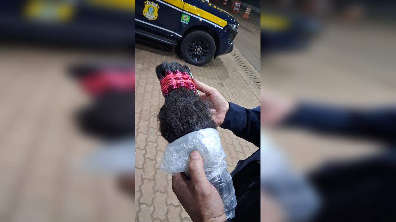 PRF apreende cerca de 50 kg de cabelos humanos em abordagem na BR-277, em Cascavel