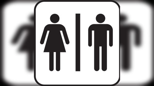 Qual sua opinião? Shopping não pode proibir transexuais de usarem banheiro masculino ou feminino após homem usar banheiro das mulheres Imagem referente a Qual sua opinião? Shopping não pode proibir transexuais de usarem banheiro masculino ou feminino após homem usar banheiro das mulheres