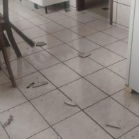 Imagem referente a Imagens mostram como ficou residência invadida por ladrão baleado no Parque São Paulo