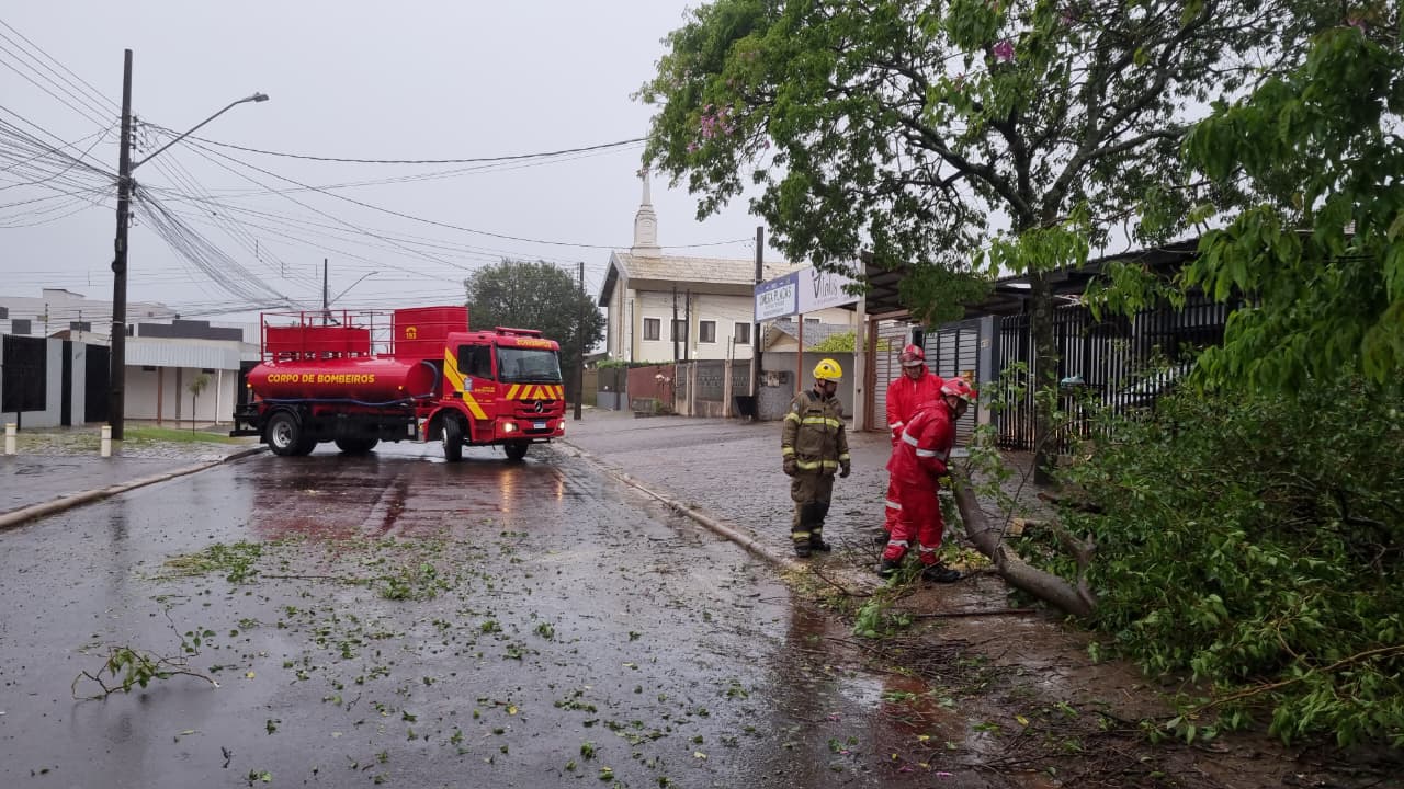 Árvore cai e interdita via no bairro Brasília após fortes ventos
