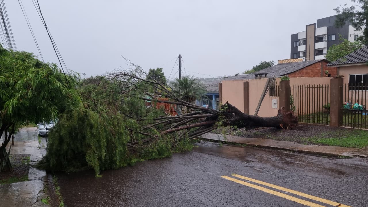 Conforme Copel, 448 mil imóveis seguem sem energia em razão do temporal no Paraná