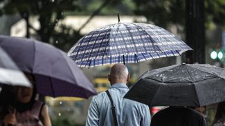SP: Chuva, ventos fortes e queda de árvores deixam 900 mil sem energia SP: Chuva, ventos fortes e queda de árvores deixam 900 mil sem energia