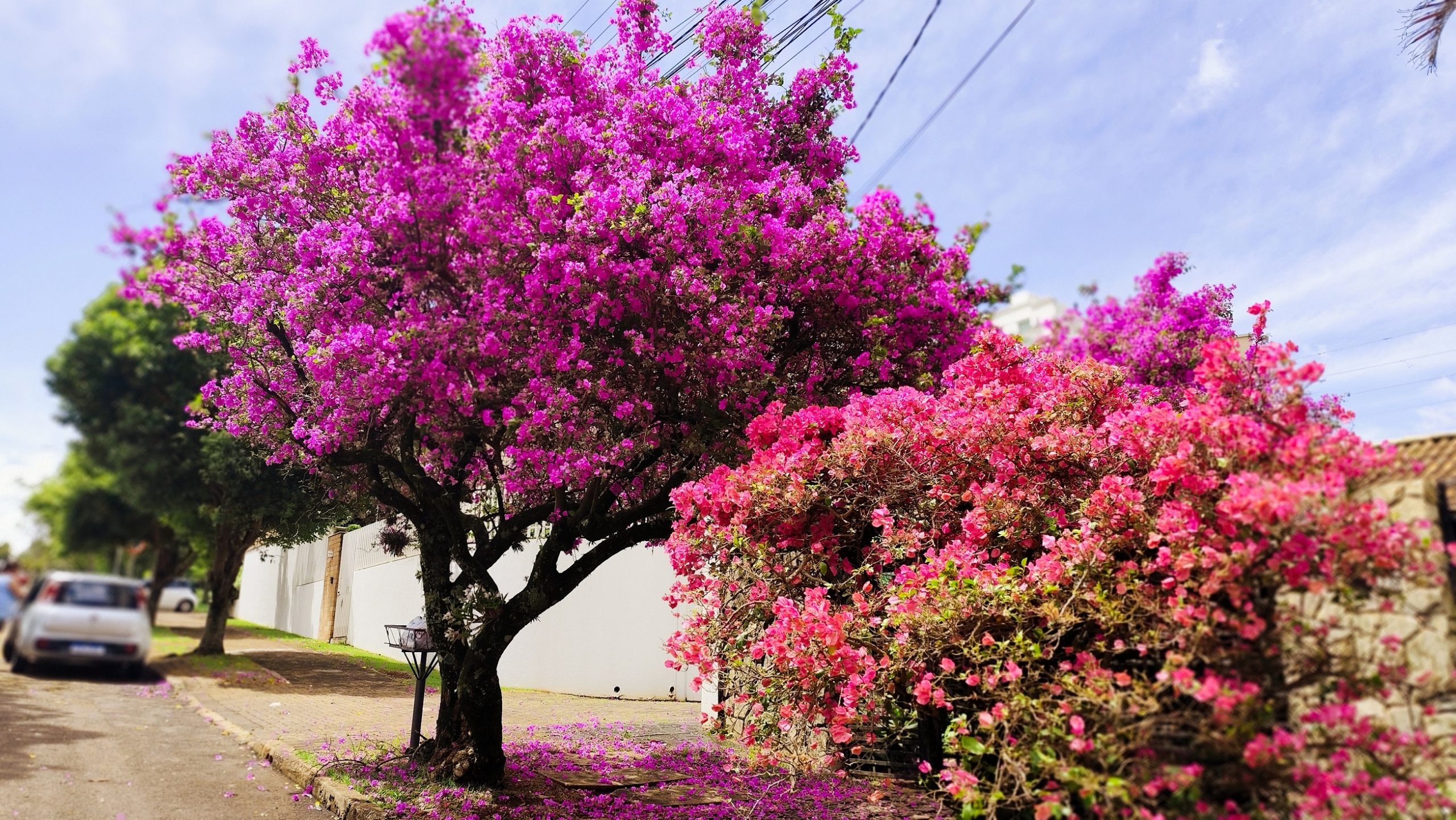 Com sol e 30ºC, Cascavel enfrenta mais um dia de calor nesta terça Com sol e 30ºC, Cascavel enfrenta mais um dia de calor nesta terça