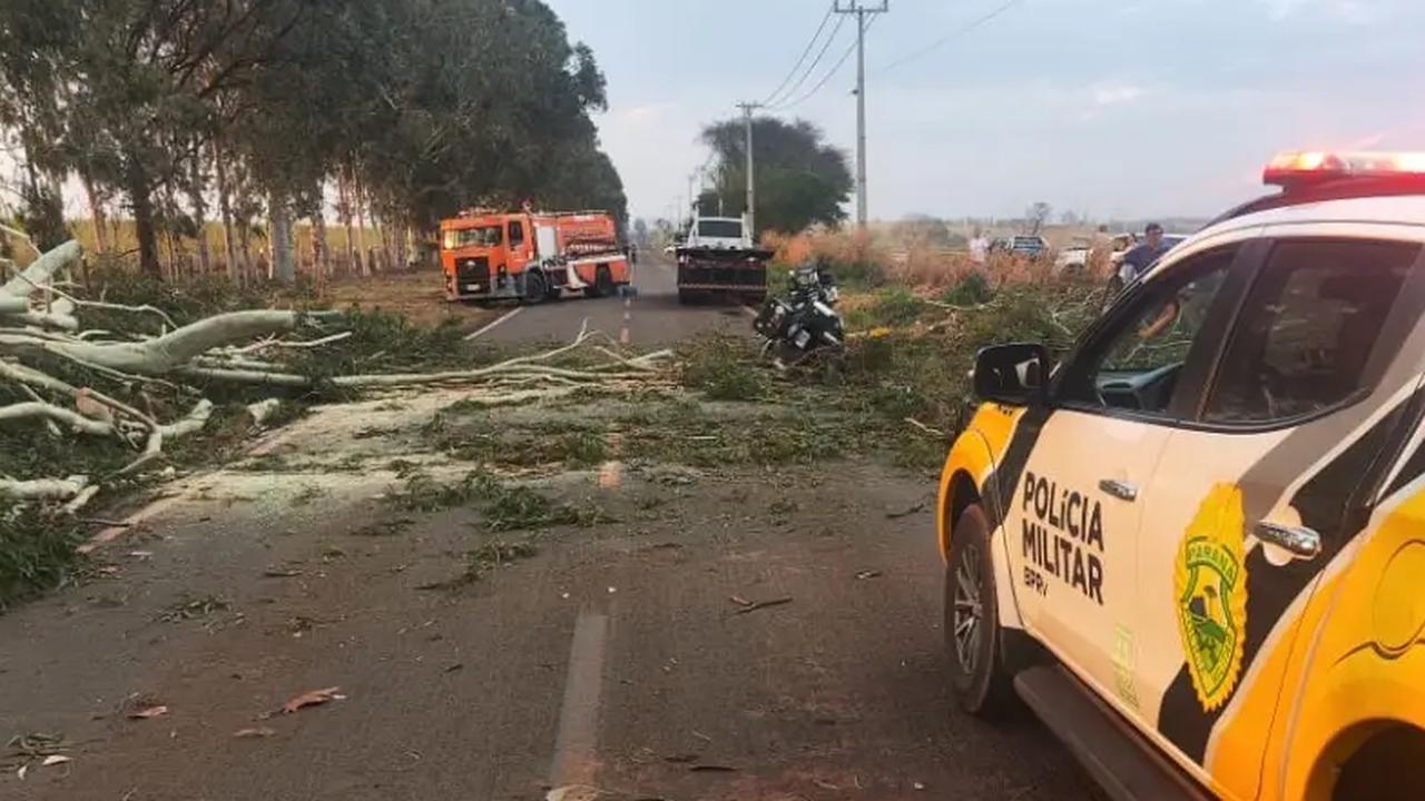 Motociclista morre ao ser atingido por árvore na PR-180